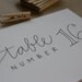 Custom Hand Lettered Table Number Signs