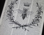Bee Upcycled Art Queen Bee Print on Vintage Dictionary Book Page 8 x 10