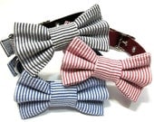 Bow Tie Dog Collar- Choose Black, Red or Navy Seersucker