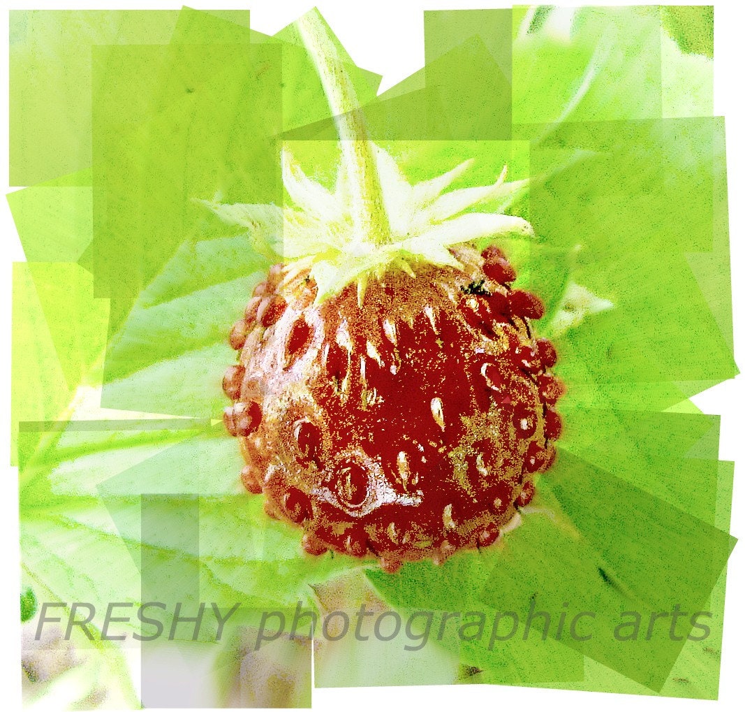 Fresh Strawberry - 4x4 Photographic Art Print