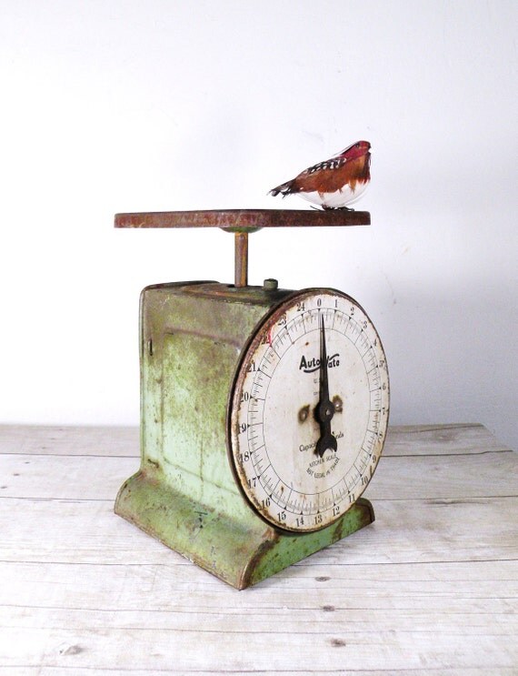 vintage green scale