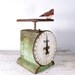 vintage green scale