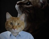1980s Portrait Studio Cat 8x10 Art Print