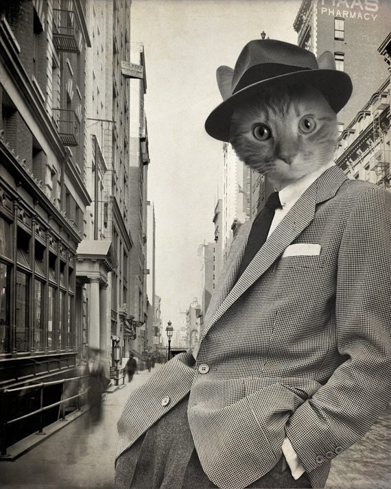 Don Draper Cat - Madmen - 8x10 Print
