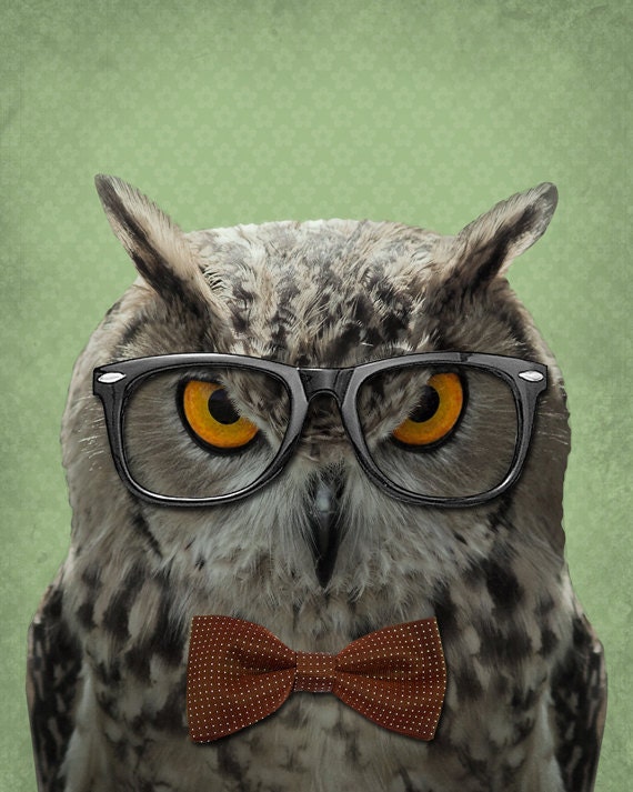 owl in glasses