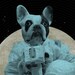 Astronaut Dog 8x10 Art Print