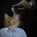 1980s Portrait Studio Cat 8x10 Art Print