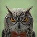 The Studious Owl with Glasses and Bowtie - 8x10  Art Print