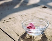 Rose Water - 8 x 8 print