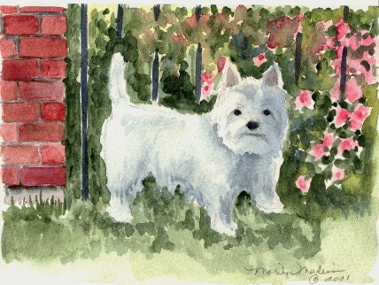 Custom Pet Drawing in Pencil from your photograph