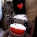Sock Monkey with Sock Crow made to order by POST STREET