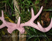 Large Antler Wall Rack/ Large wall Antler Hook / Shabby Chic  / Jewelry Hanger / Hook  / Wall Decor / Shabby Chic Decor