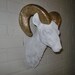 Faux Taxidermy / Ram Head / Animal Head Wall Mount / Modern Wall Decor