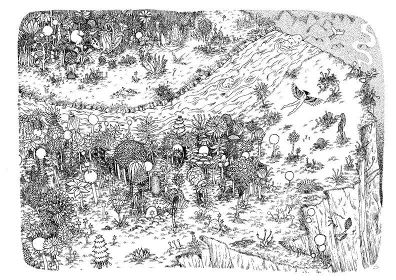 birdwatcher falls .  print