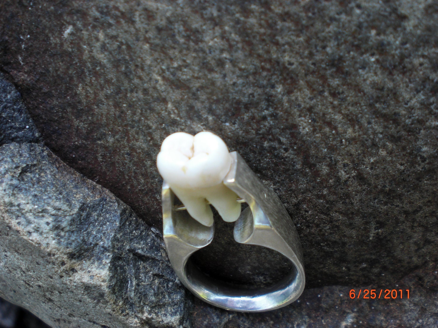 Real Human Tooth Tension Set Silver Ring