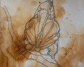 Original Graphite Drawing - Carolina Wren Study on Brown Umber Watercolor Ground