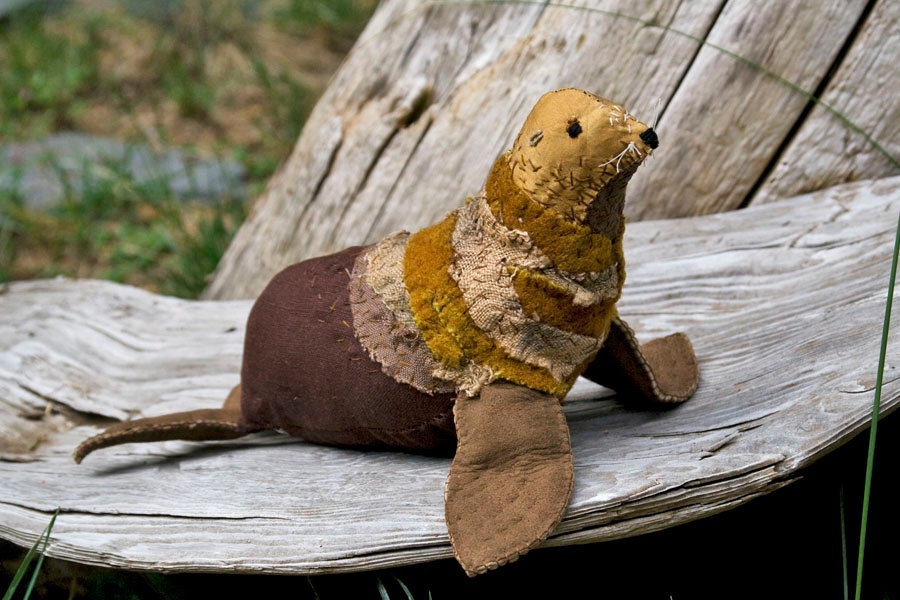 Steller Sea Lion