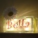 Girls glass block night light- butterflies/daisies