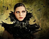 Neck Corset with Coque Feather Accents