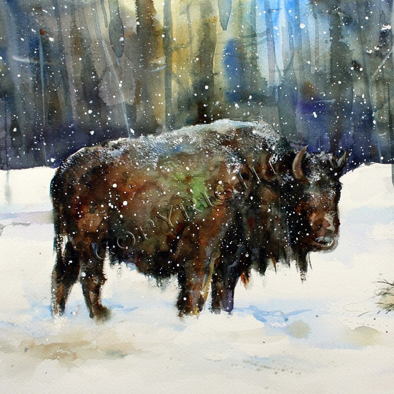 BUFFALO Ceramic Tile by Dean Crouser