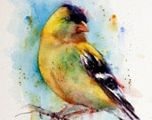 GOLFINCH Watercolor Bird Print by Dean Crouser