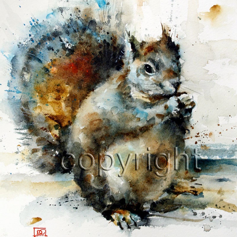 SQUIRREL Watercolor Print by Dean Crouser