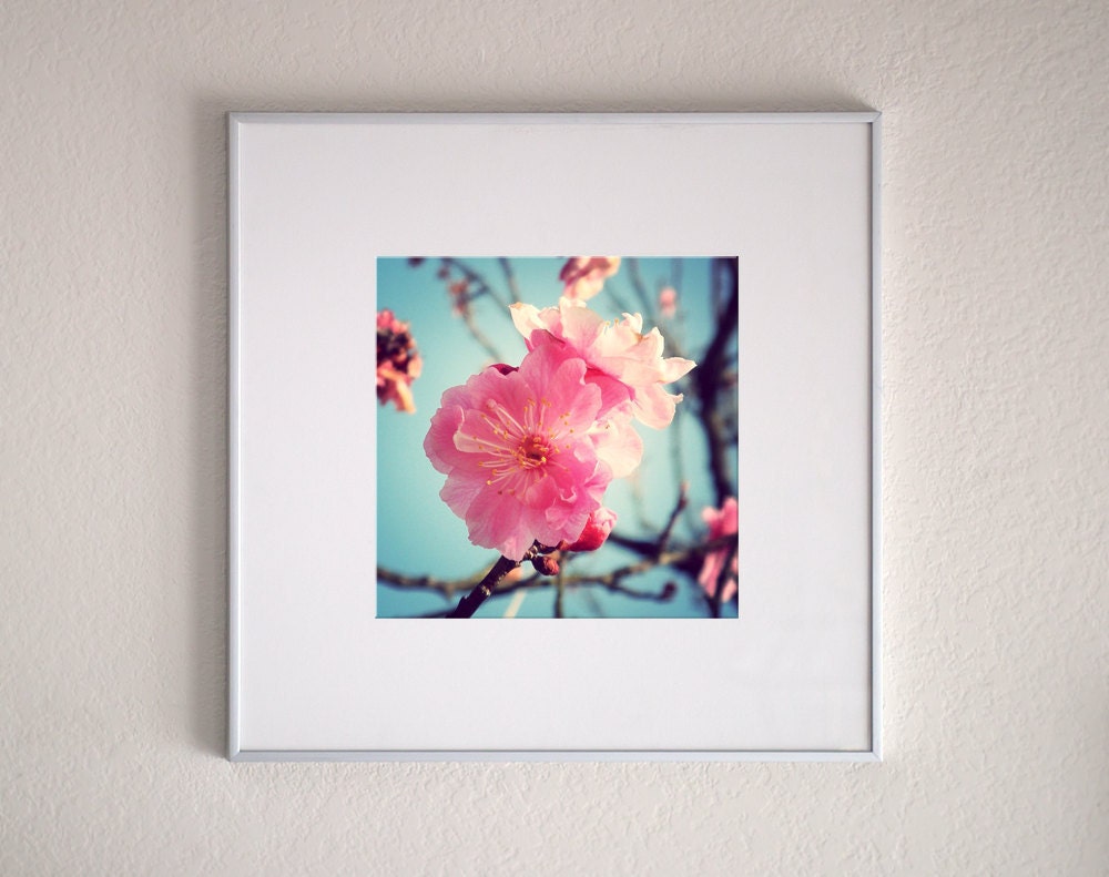 Spring Blossoms in Japan - floral, home decor, pink, Japanese, Asian flower photograph, 8x8 Original Fine Art Photograph