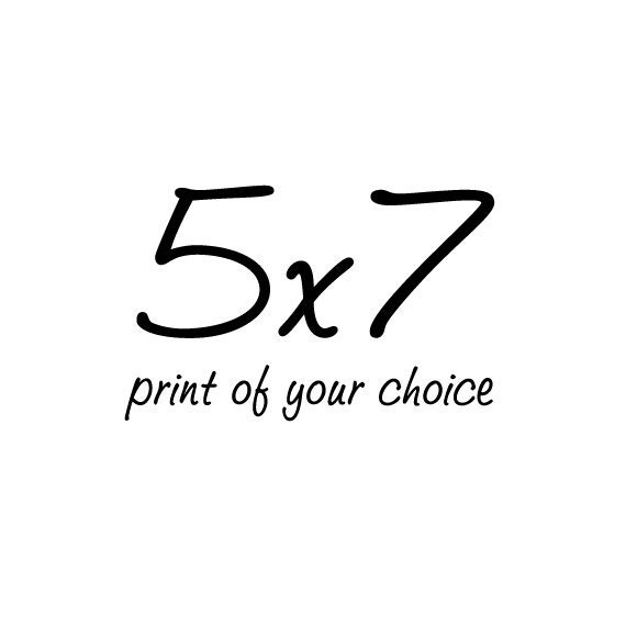 5x7 inch print of your choice - Original Fine Art Photograph