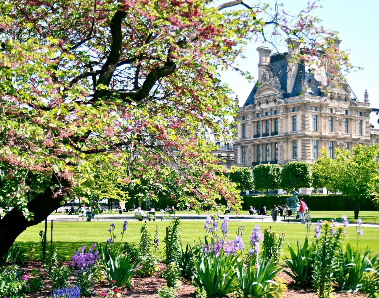 Paris Photograph - Jardin des Tuileries - French Garden Print -  Louvre Photo - Trees Flowers - Green Home Decor - Feminine Wall Art France