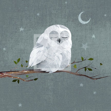 Nursery Wall on Sleepy Owl Nursery Wall Art Decor By Caramelexpressions On Etsy