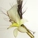 Floral Package with Peacock Feathers and Crystals, Bridal Bouquet, Bridemaids Bouquets, White Lily Bouquets