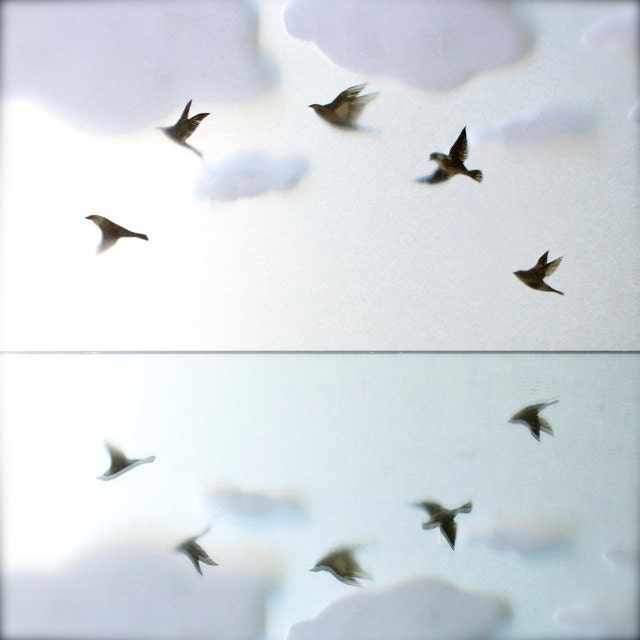 Ring of Starlings