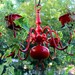 Romantic Red ---- SALE ---- Cottage Chic Planter Chandelier