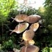 Back to school special - Large Antique Silver Spoon Fish Windchime