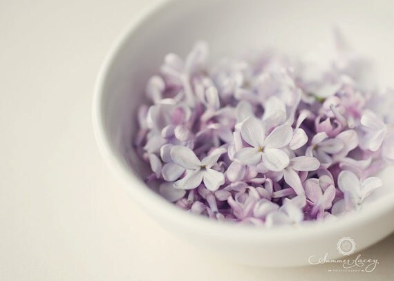 Bowl of Lilacs - 11x14 Fine Art Print - Lilacs in a Bowl Original Wall Art - Purple Petals