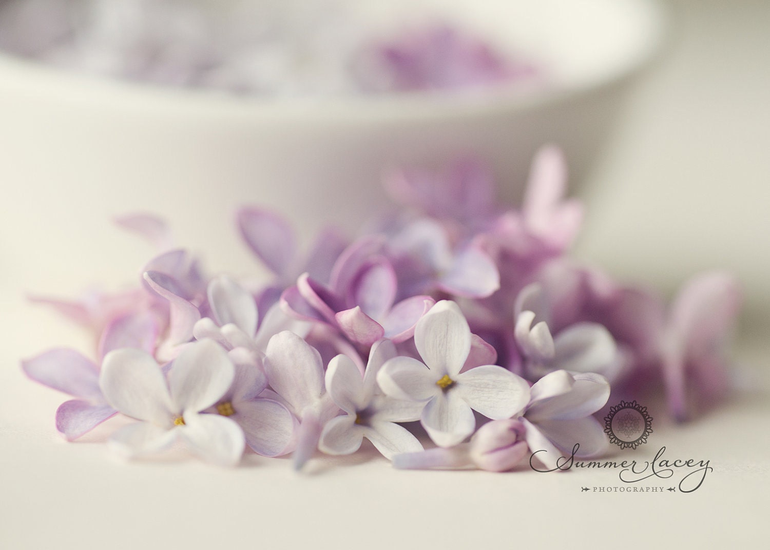 Set of Lilac's - 4 - 16x20 - Fine Art Print