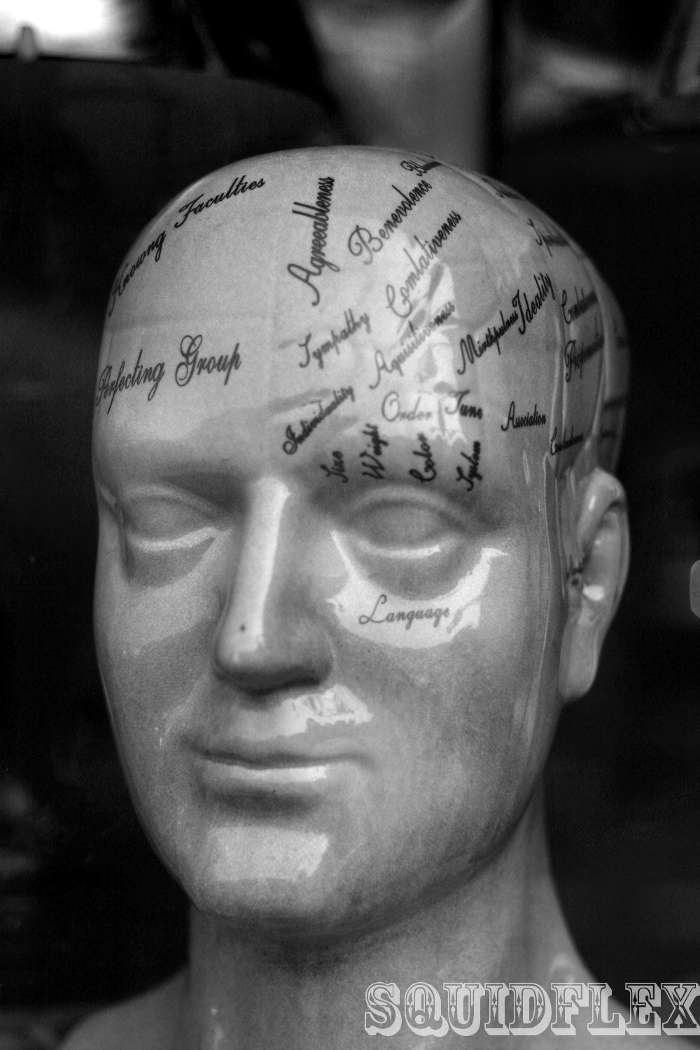 Phrenology 8X10 Black and White Fine Photo Print