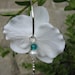 Flower earrings white orchids