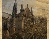 easter morning at notre dame : 8x10 photography print