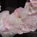 Pink Christmas Wreath Shabby  White Organza & Glitter