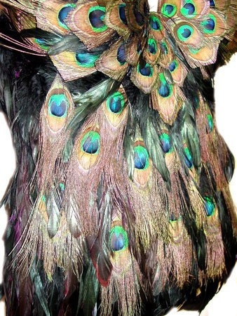 PEACOCK Feather Corset Las Vegas Burlesque Custom Made 4U
