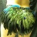 Peacock Feather Exotic Bottom Dance Custom Costume Ready to SHIP Festival Stage Burlesque Made 4U