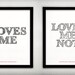 Loves Me/Loves Me Not - 16x20 - Screenprints