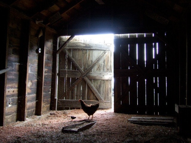 Vermont Farmstead Notecards