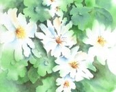 SALE - Martha Kisling Watercolor of White Flowers -  Original Art