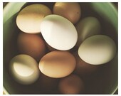 egg photograph prints for the kitchen farmhouse decor vintage style rustic spring cottage 8x10 photo "Farm Fresh Eggs"