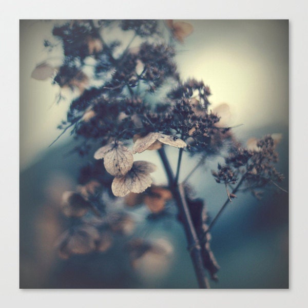 nature photography navy midnight blue Wasted on the Wayside nature fine art photograph pearl photo paper surreal art dreamy photo