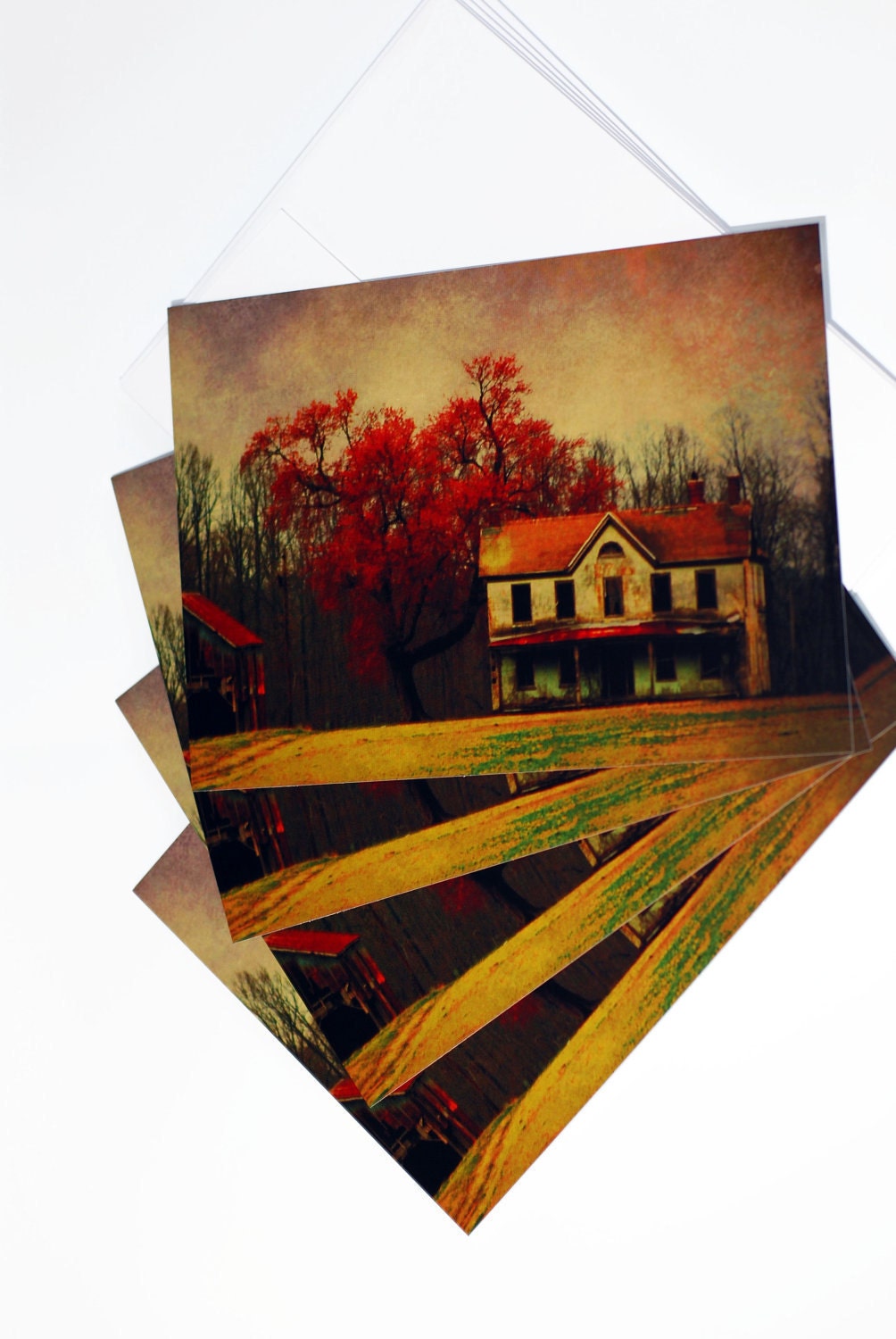 Fall color pumpkin spice farmhouse postcards set of (4) rustic photography - "Keep Farming Until its all Gone" 5x7 postcard