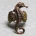 Ocean Reef Sea Horse Shell Ring ' right facing '