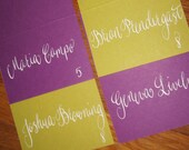 Calligraphy for Place Cards/Escort Cards-Holly Font